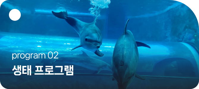 program2 생태 프로그램