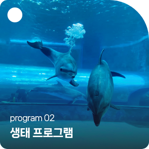 program2 생태 프로그램